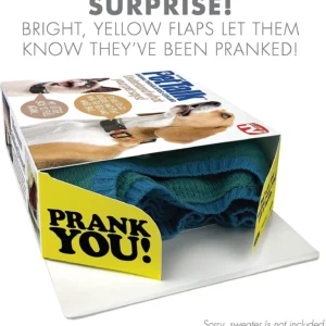 Prank-O Pet Talk empty prank gift box packaging only — sweater and electronic pet product not included